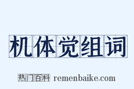 机体觉组词是什么意思的图片